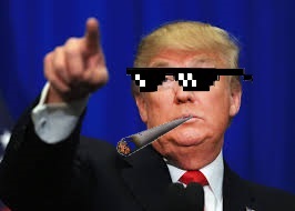 Donald MLG.jpg